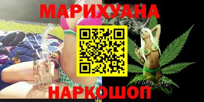 крисы Лесосибирск